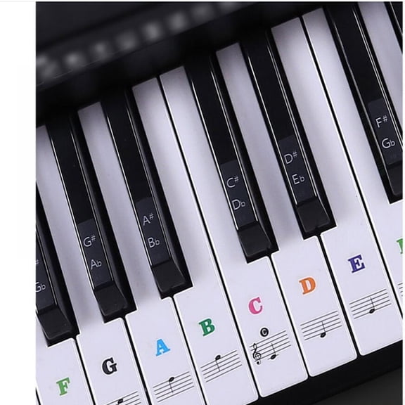 Color Piano Stickers for 88/76/61/54/49/37 Key Keyboards – Transparent and Removable