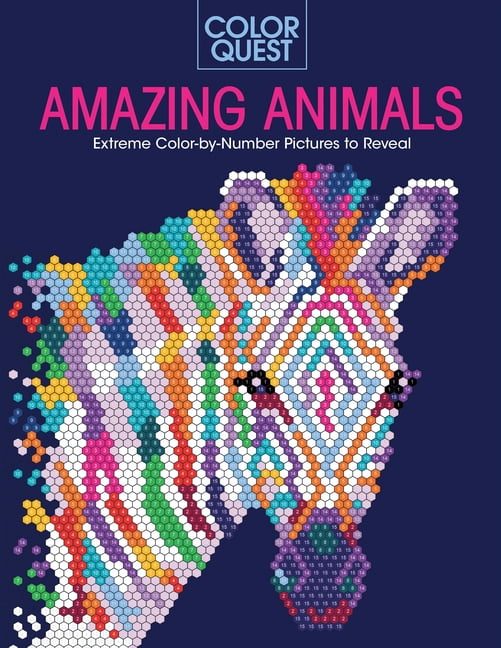 Color Quest: Amazing Animals - Walmart.com