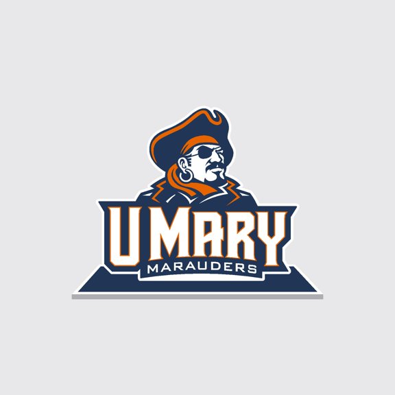 Color Shock Products NCAA Officially Licensed School Mascot Standee