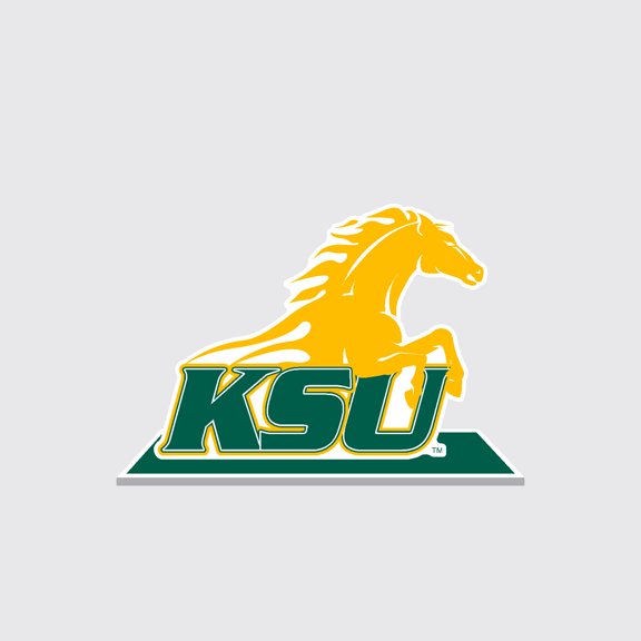 Color Shock Products NCAA Officially Licensed School Mascot Standee