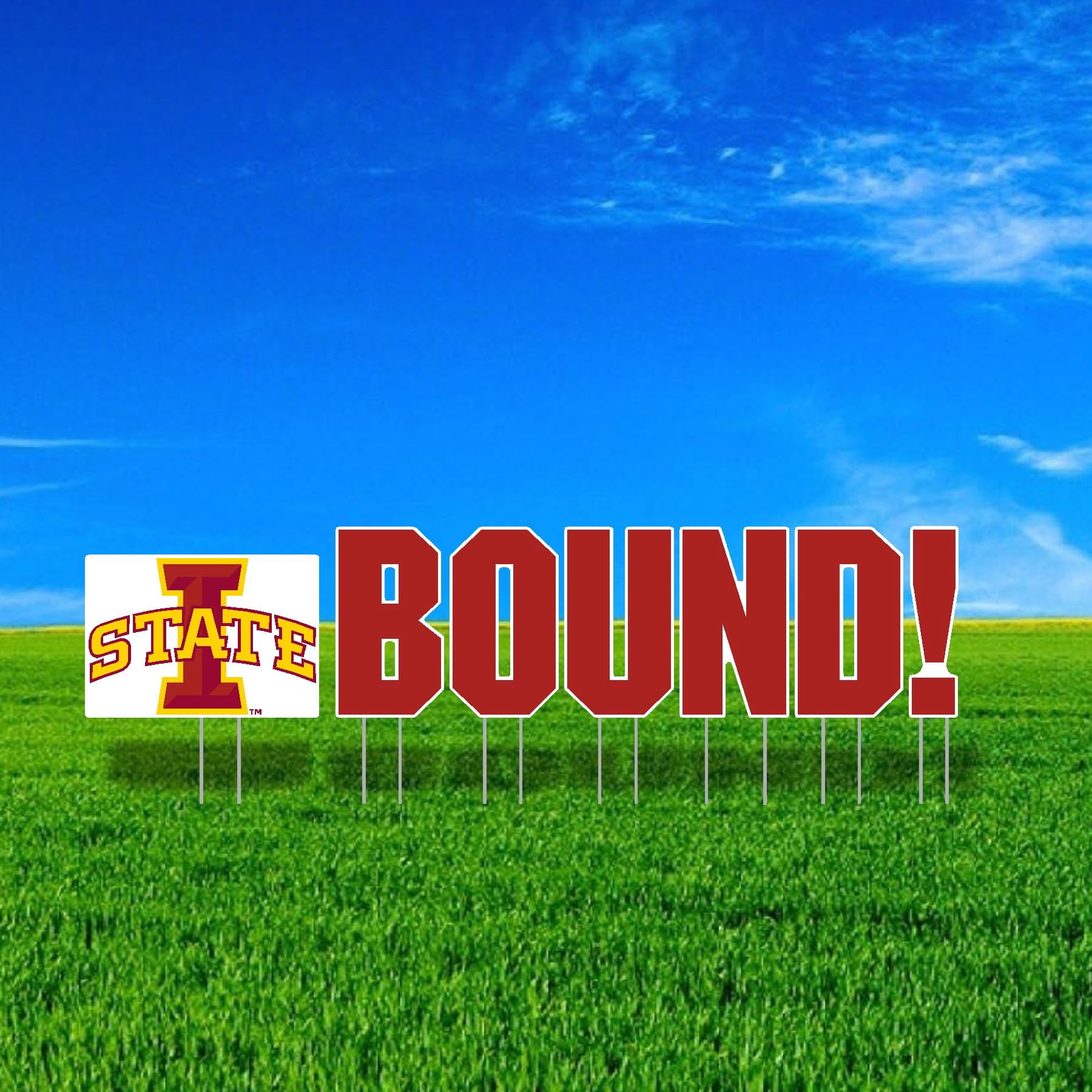 Color Shock Products School BOUND Mascot Yard Sign Set compatible with Iowa State University