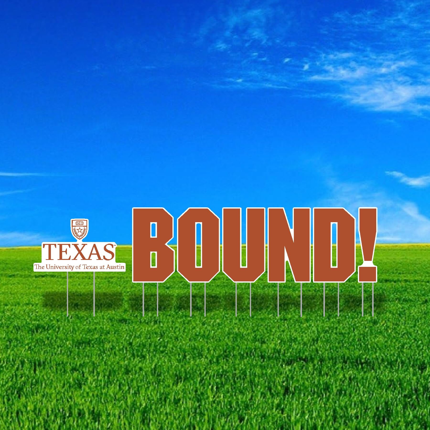 Color Shock Products School BOUND Mascot Yard Sign Set compatible with The University of Texas