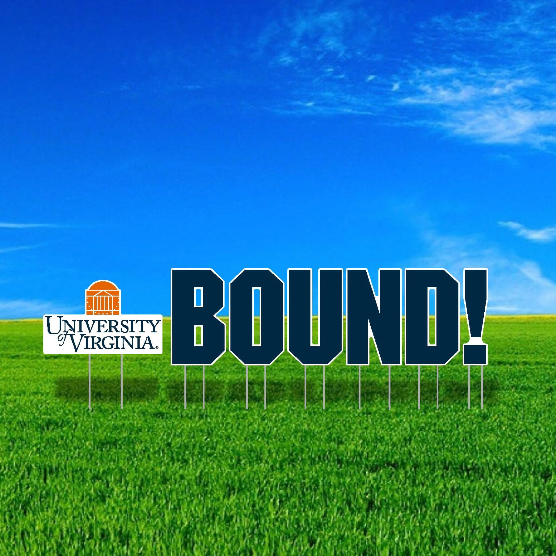 Color Shock Products School BOUND Mascot Yard Sign Set compatible with University of Virginia