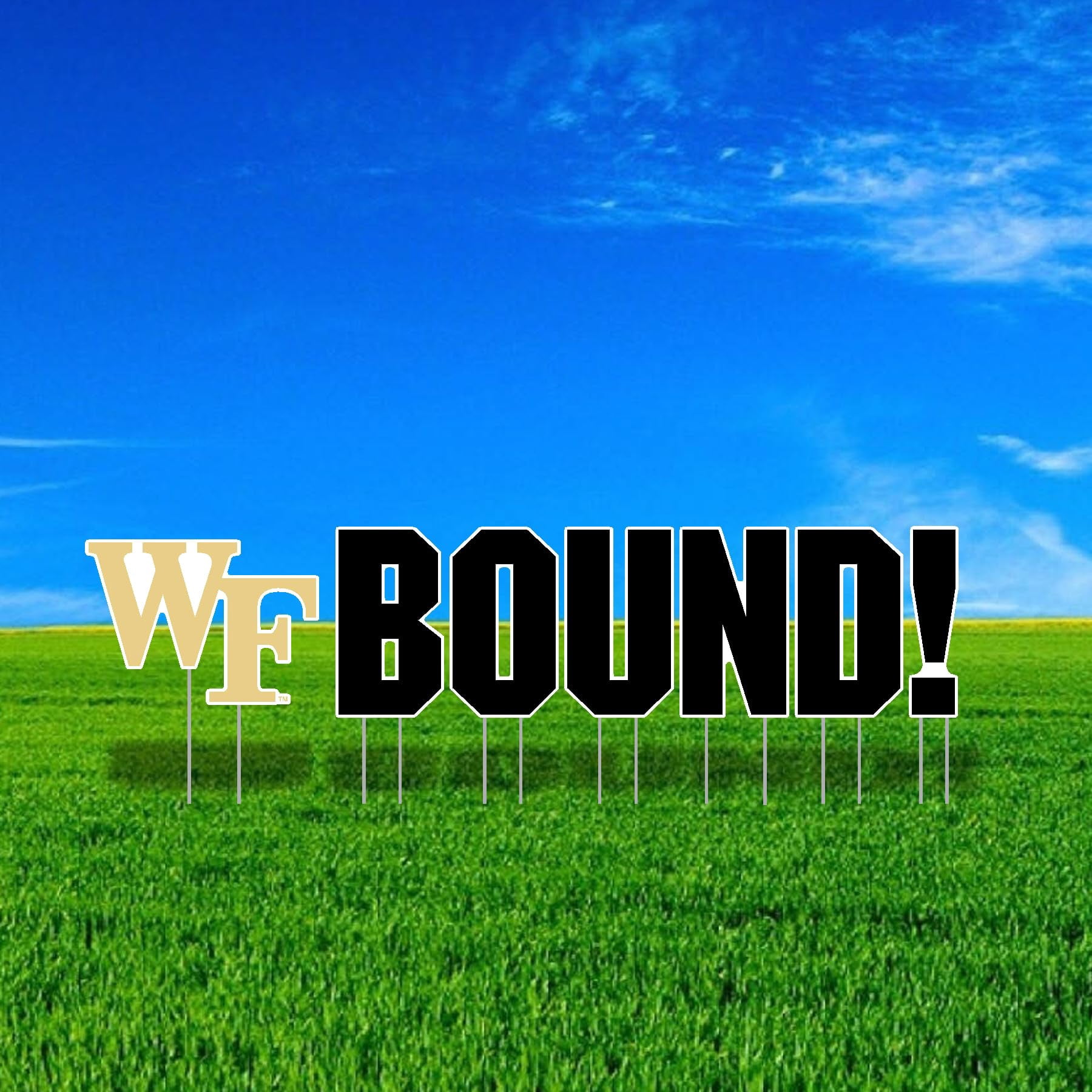 Color Shock Products School BOUND Mascot Yard Sign Set compatible with Wake Forest University