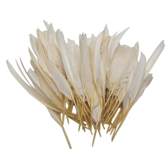 Color Splash! Long Quill Feathers, White