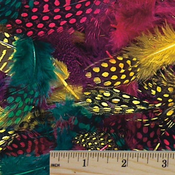 Color Splash! Spotted Feather Assortment