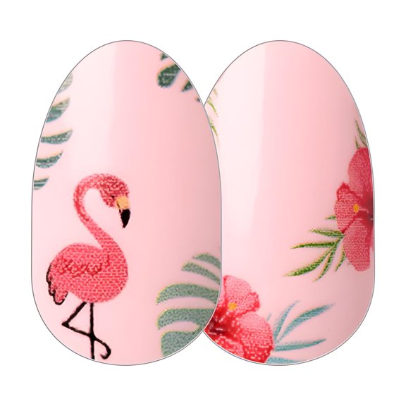 Color Street 'Flocking Fabulous' (FDC237) - Nail Polish Strips Fun In The Sun (2019) E22