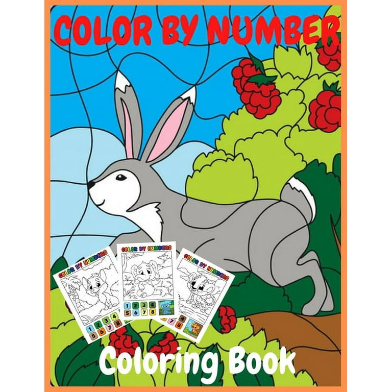 Color by Number Coloring Book: 50 Unique Color By Number Design for Drawing and Coloring Stress Relieving Designs for Kids Relaxation Creative Haven Color by Number Books [Book]