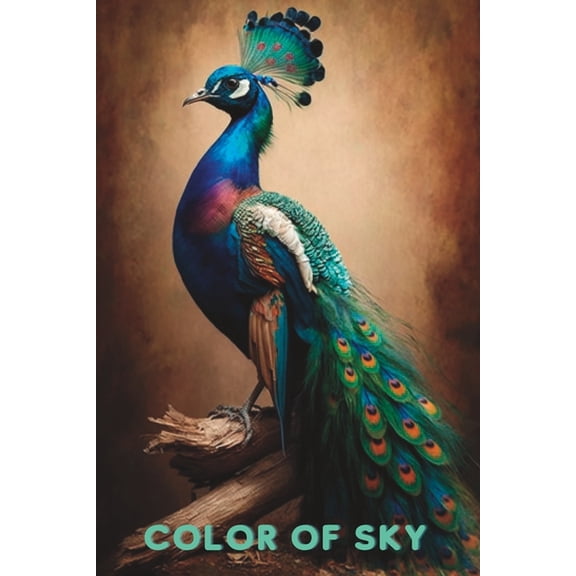 Color of Sky, (Paperback)