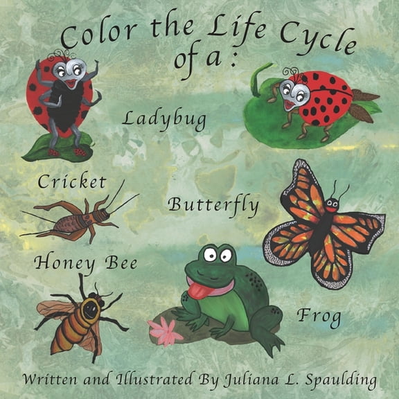 Color the Life Cycle of a Ladybug, Cricket, Butterfly, Honey Bee, and a Frog (Paperback)