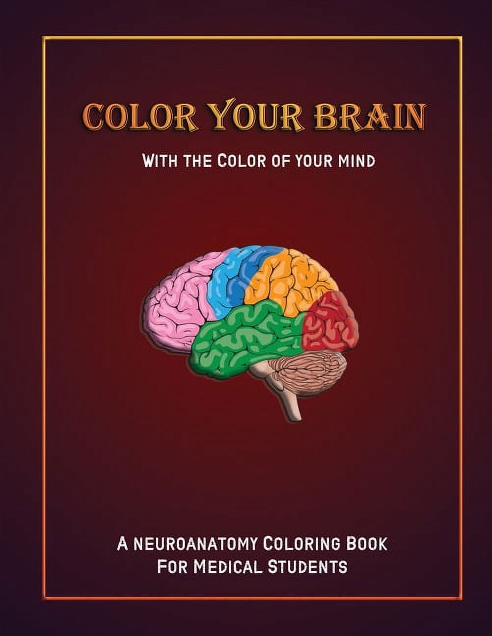 Neuroanatomy Coloring Book: Incredibly Detailed Self-Test Human Brain  Coloring Book for Neuroscience Perfect Gift for Medical School Students,  Nur (Paperback)