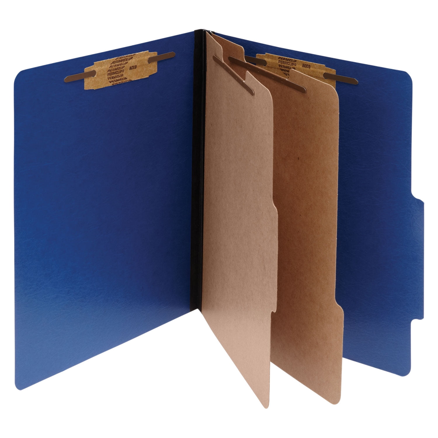 ColorLife PRESSTEX Classification Folders, 3