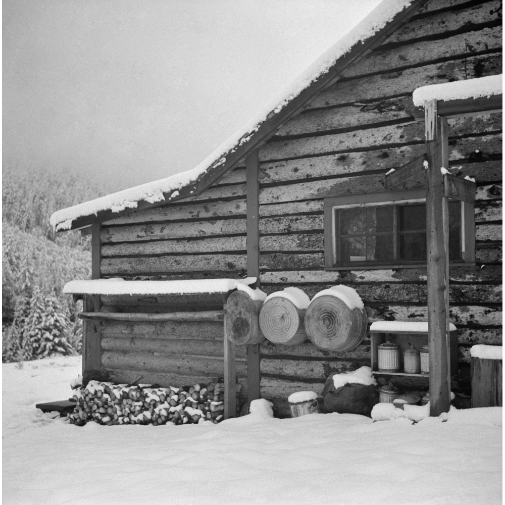 Colorado Aspen 1941. Nview Of A Cowhands' Cabin On A Ranch In The