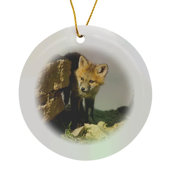 3drose, Colorado, Breckenridge. Red Fox - Us06 Bja0060 - Jaynes Gallery, Circle Porcelain Ornament