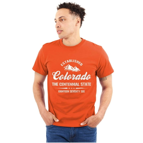 Colorado CO Centennial State Souvenir Men's Graphic T Shirt Tees Brisco Brands L