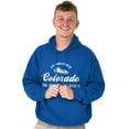 thumbnail image 1 of Colorado CO Centennial State Souvenir Unisex Plus Fleece Graphic Hoodie Brisco Brands 3X, 1 of 3