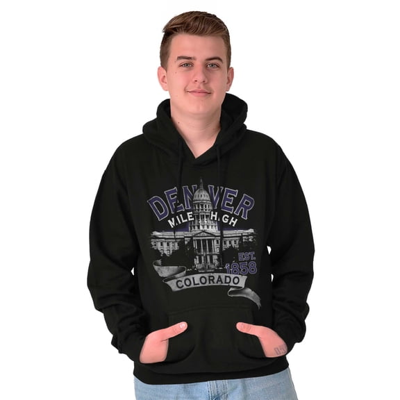 Colorado Capitol Building Denver CO Unisex Plus Fleece Graphic Hoodie Brisco Brands 2X