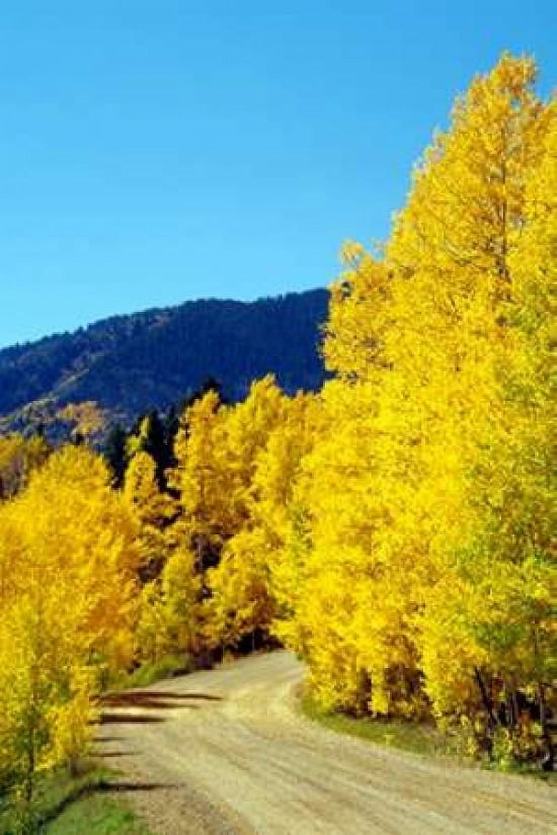 Colorado Color I Canvas Art - Douglas Taylor (12 x 18)