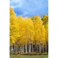 thumbnail image 1 of Colorado Color II Poster Print by Douglas Taylor (24 x 36), 1 of 2