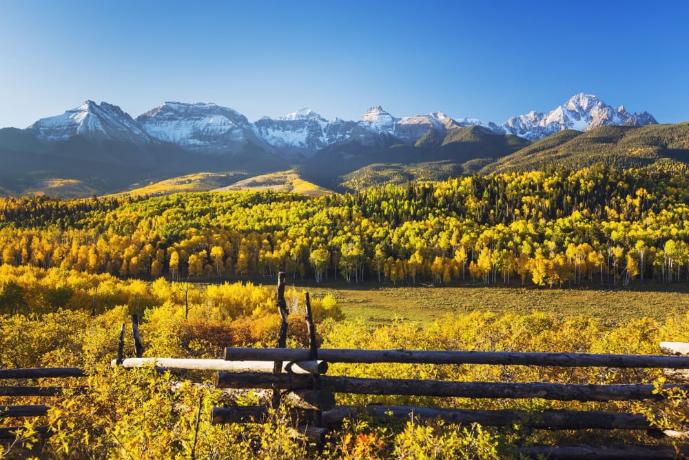 Colorado Dallas Divide Beautiful Autumn Landscape Snow Covered Aspen Mountains In Distance Canvas Art - MakenaStockMedia Design Pics (19 x 12)