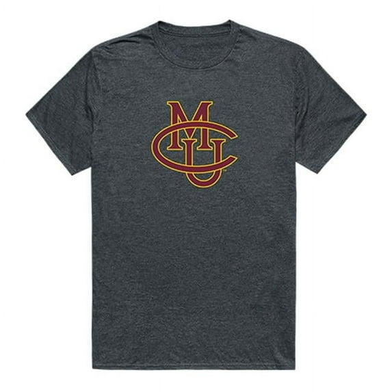 Colorado Mesa University Cinder College Tee, Heather Charcoal - 2XL