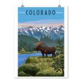 thumbnail image 1 of Colorado, Moose, Summer Scene, 1 of 2