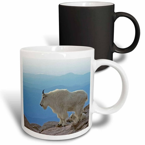 3drose, Colorado, Mt Evans. Mountain Goats, Rocky Mtns - Us06 Bja0030 - Jaynes Gallery, 11oz Magic Transforming Mug