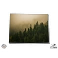 thumbnail image 1 of Colorado Mysterious Forest - 12" Vinyl Sticker Waterproof Decal, 1 of 1