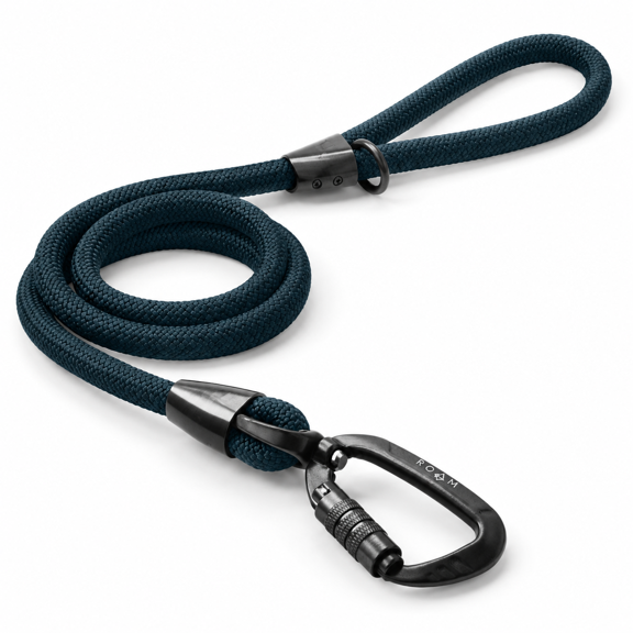 Colorado Nightsky 4 Feet Explorer Climbing Rope Pet Leash With Autolocking Carabiner