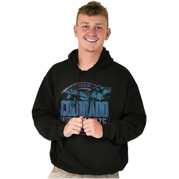 Colorado Retro Rocky Mountain Trip Unisex Plus Size Hoodie Brisco Brands 2X