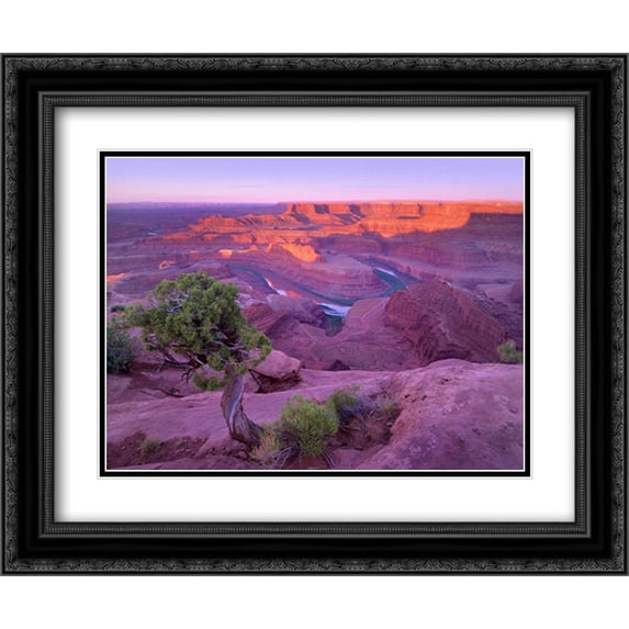 Colorado River flowing through canyons of Dead Horse Point State Park, Utah 2x Matted 24x20 Black Ornate Framed Art Print by Fitzharris, Tim