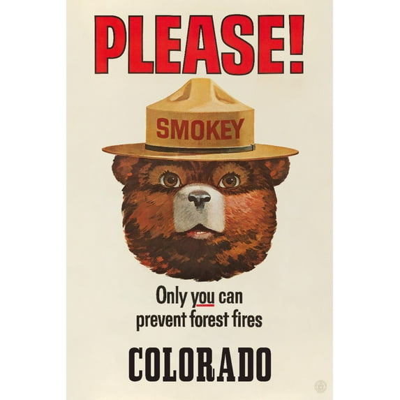 Colorado, Smokey Bear, Only You Can Prevent Forest Fires, Vintage Poster (12x18 Wall Art Poster, Room Decor)