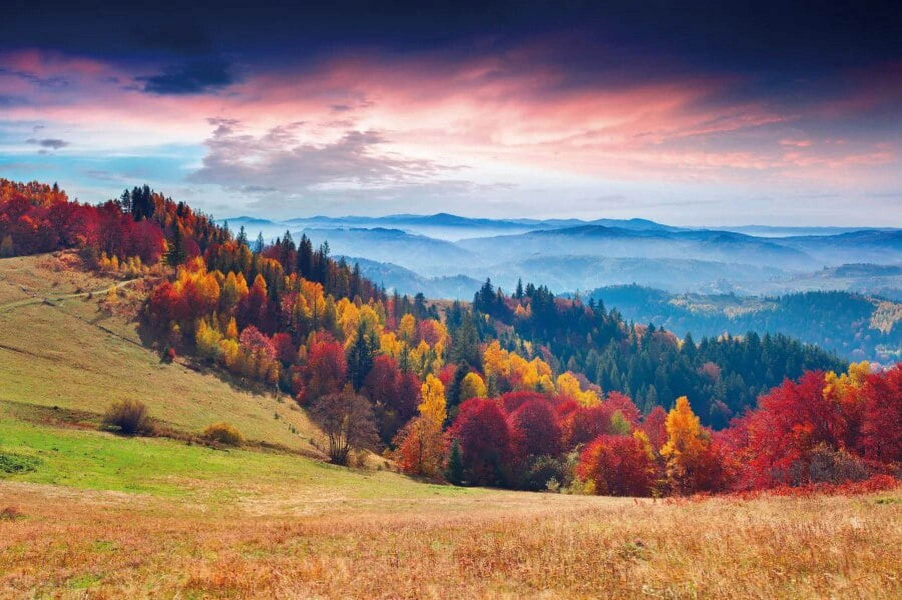 Colorado Snow Mountains Backdrop Pine Trees Forest Landscape Outdoor ...