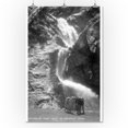 thumbnail image 1 of Colorado Springs, Colorado - South Cheyenne Canyon; Burro at Seven Falls Photograph (24x36 Giclee Gallery Print, Wall Decor Travel Poster), 1 of 1