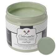 Colorantic | SAGE Chalk Paint Based for Furniture DIY - Multi-Surface All-in-One Craft Paint | SOFT LIGHT GREEN Home Decor Painting - 16 oz