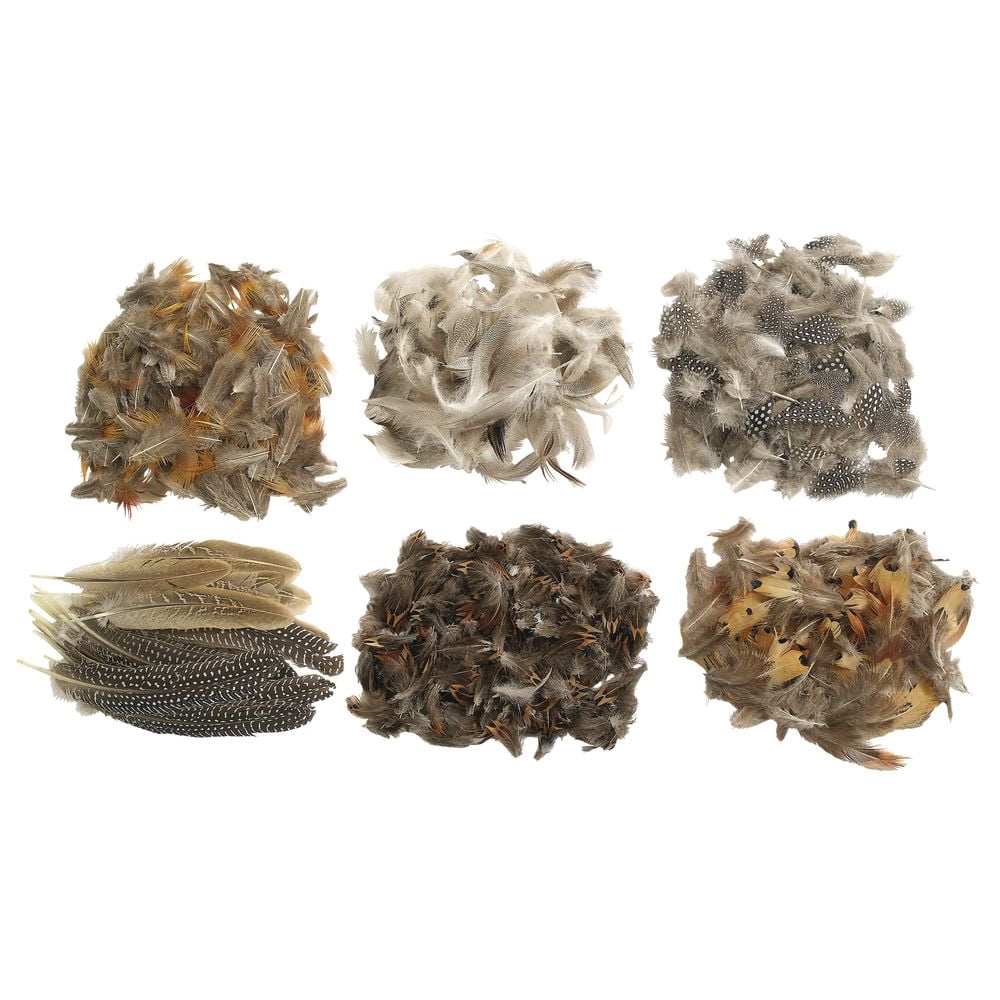 Colorations Natural Feathers Classroom Pack