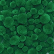 Colorations Pom-Poms, Green - 100 Pieces