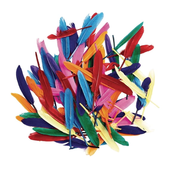 Colorations Rainbow Duck Quill Feathers - 1 oz. (Item # DUCKOZ)