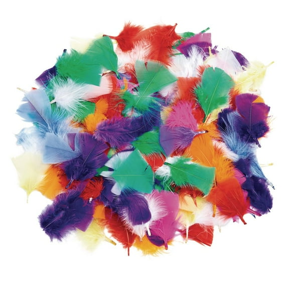 Colorations Rainbow Feathers - 3 oz.