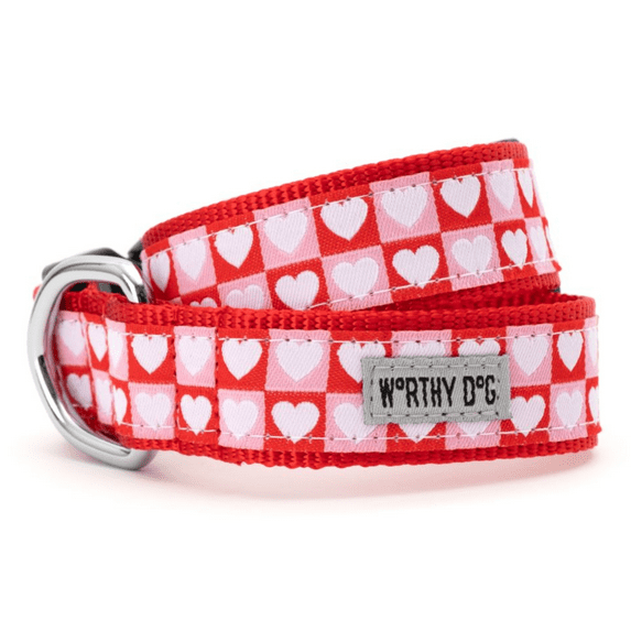 Colorblock Hearts Collar