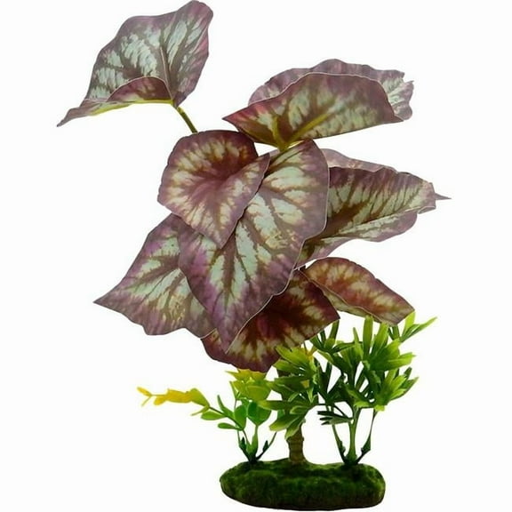 Colorburst Florals CB-3064 Tropical Gardens Caladium Bicolor Aquatic Plant, Pink - 11 in.