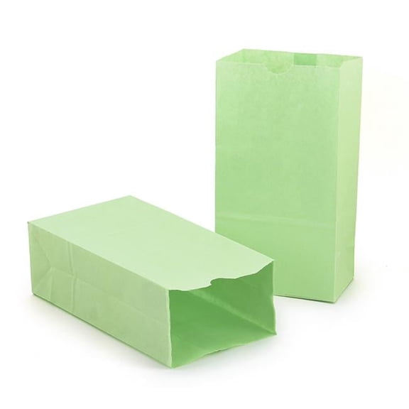 Colored Craft Bags, Lime Green - Pack of 2