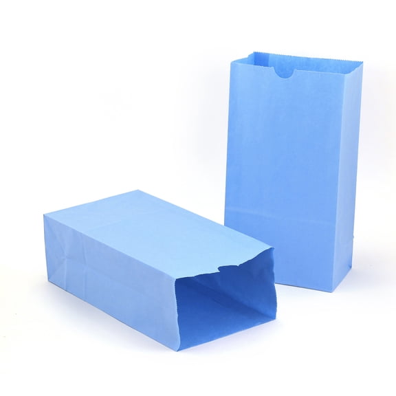 Colored Craft Bags, Sky Blue, Pack of 50