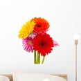 thumbnail image 1 of Colored Gerber Flower Wall Mural Decal by Wallmonkeys Vinyl Peel and Stick Graphic (18 in H x 14 in W), 1 of 4