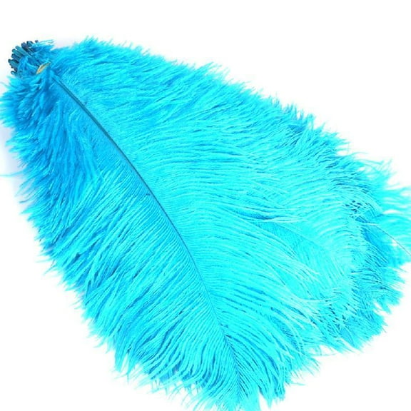 Colored Ostrich Feather 10Pcs for Photography Props Flower Arrangement DIY Craft Wedding Home Party Decoration Table Centerpieces Vases Feather Decor