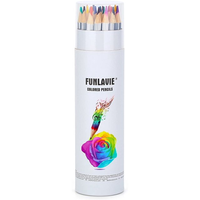 Colored Pencils 24 Coloring Pencils Premium Professional Art Drawing