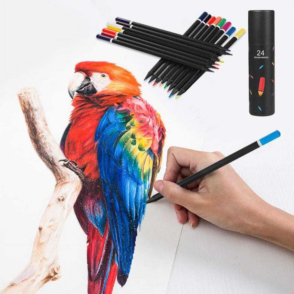 https://i5.walmartimages.com/seo/Colored-Pencils-24-Count-Set-Artist-Quality-Perfect-Adults-Coloring-Kids-Doodling-Drawing-Painting-Sketching-Writing-Pre-sharpened-24-color_2dff8d62-1aab-406b-83b9-e7fb5068223b.62e138299058452c745639c091e81276.jpeg
