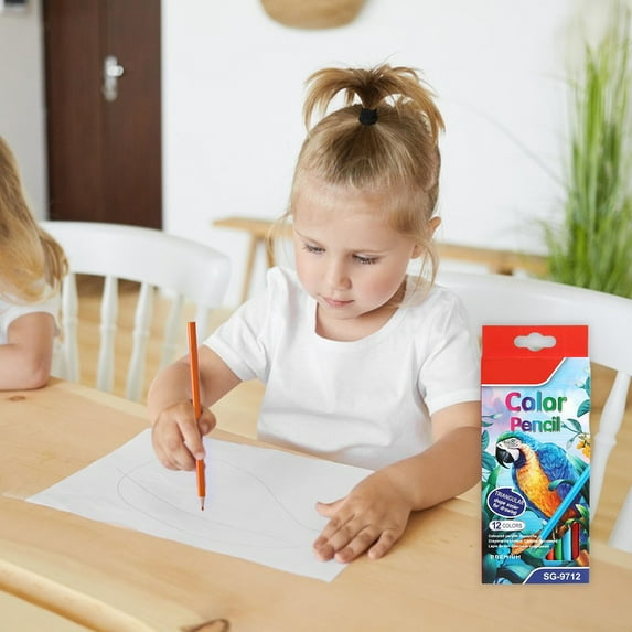 Colored Pencils, Drawing Supplies, Eco-Friendly Woodless Colored Pencils for Kids and Artists, 12-Color Set, Portable, Durable, Smooth Blending
