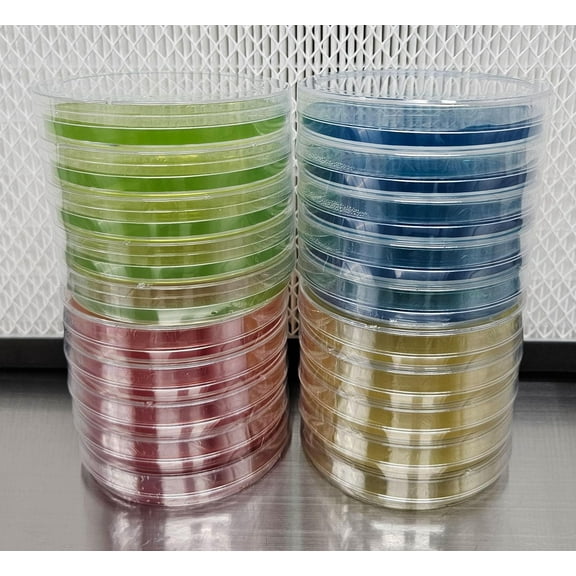 Colored Potato Dextrose and Yeast Agar | Prepoured Premade Petri Dish 20 Pack