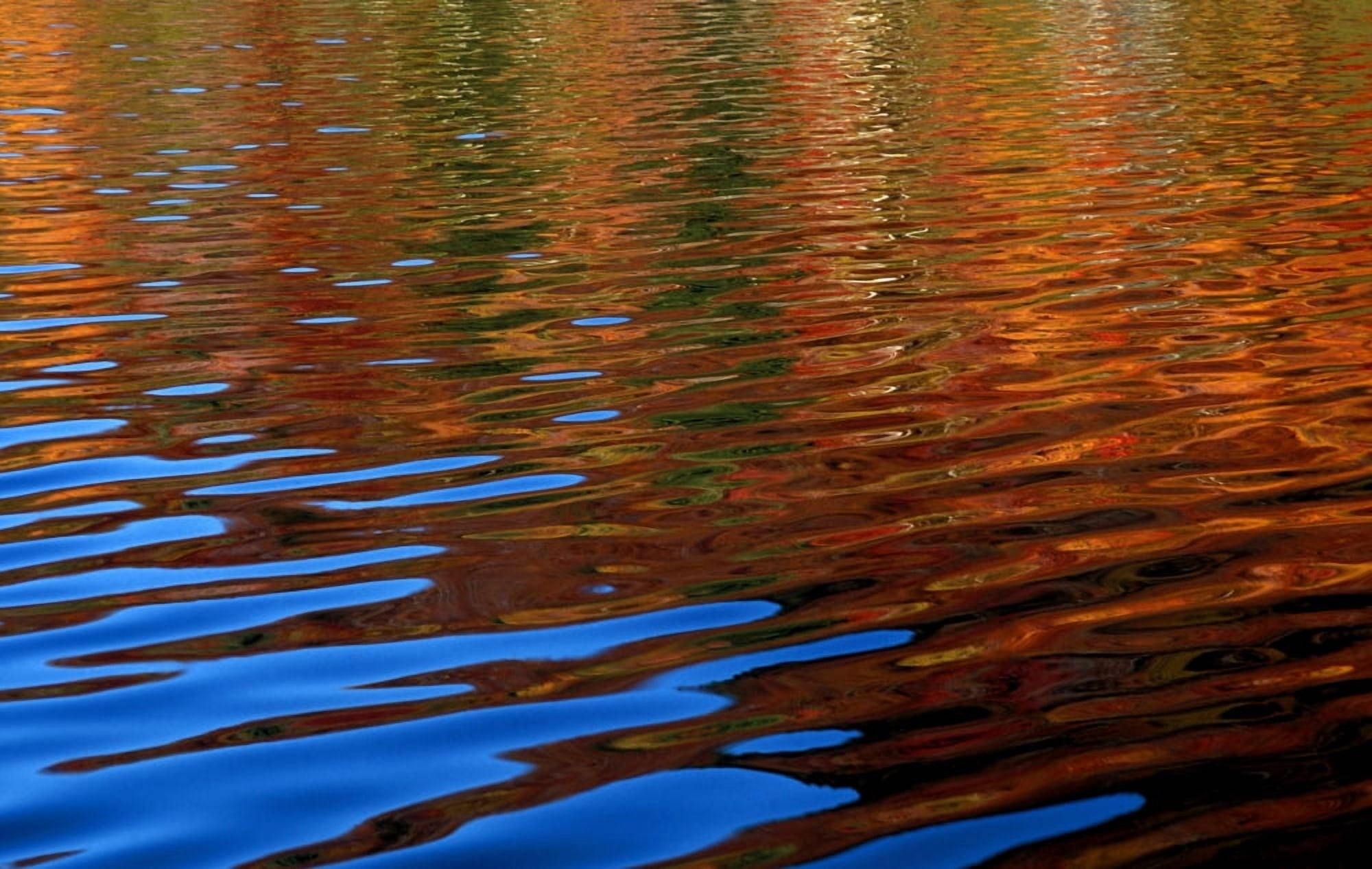 Colored Reflections On Water Canvas Art - David Chapman Design Pics (17 x 11)